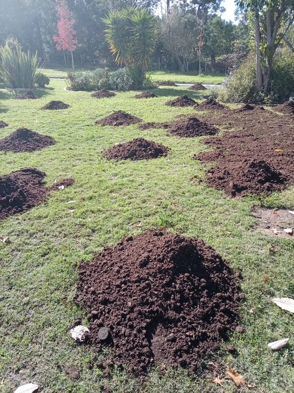 Green Finger landscaping and compost work
