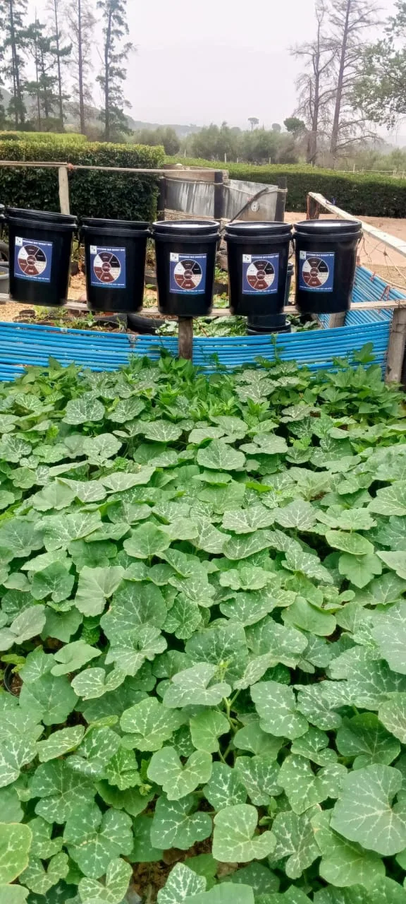 Green Finger landscaping and compost work