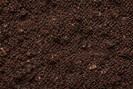 Living soil with red wrigglers
